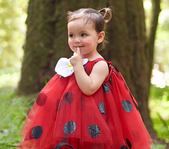 Baby Ladybug Tutu Costume | Pottery Barn Kids
