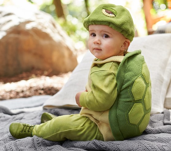 inflatable turtle costume