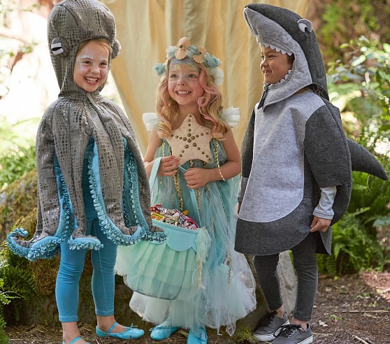 Shark Costume | Pottery Barn Kids