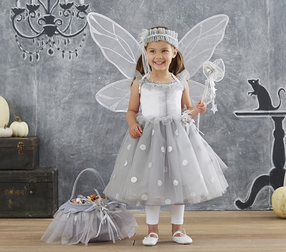 Silver Snow Fairy Costume | Pottery Barn Kids