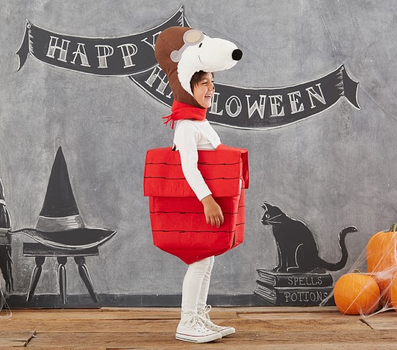 Snoopy® 3-D Dog House Costume | Pottery Barn Kids