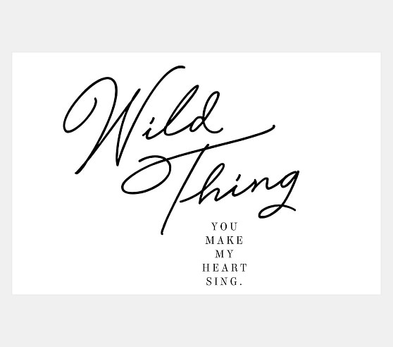wild things you make my heart sing
