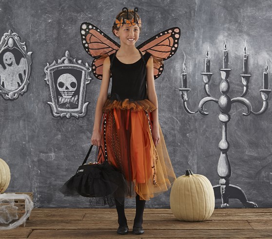 Kids Monarch Butterfly Tutu Costume Pottery Barn Kids