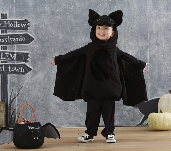 Kids Puffy Bat Costume Pottery Barn Kids