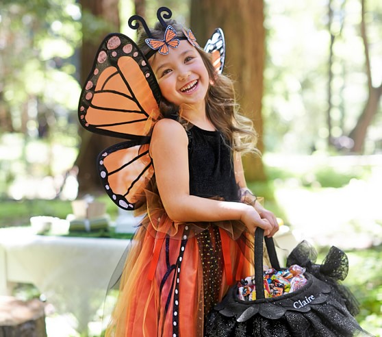 Kids Monarch Butterfly Tutu Costume Pottery Barn Kids