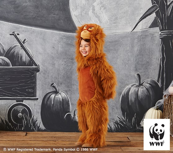 Toddler Orangutan Costume Pottery Barn Kids