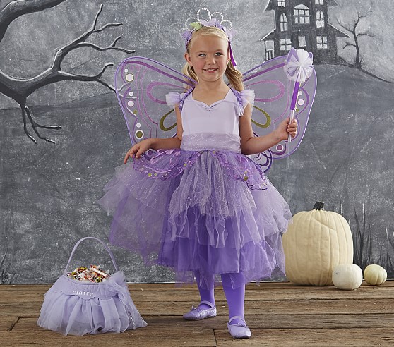 Butterfly Fairy Tutu Halloween Costume 3t Pottery Barn Kids