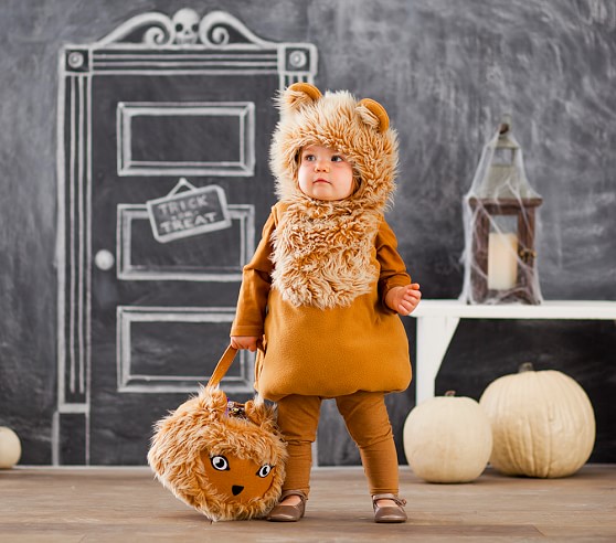 Lion Halloween Costume 2 3t Pottery Barn Kids