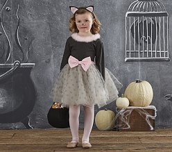 Gray Silver Halloween Costumes Pottery Barn Kids