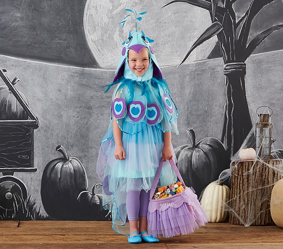 Peacock Costume Pottery Barn Kids