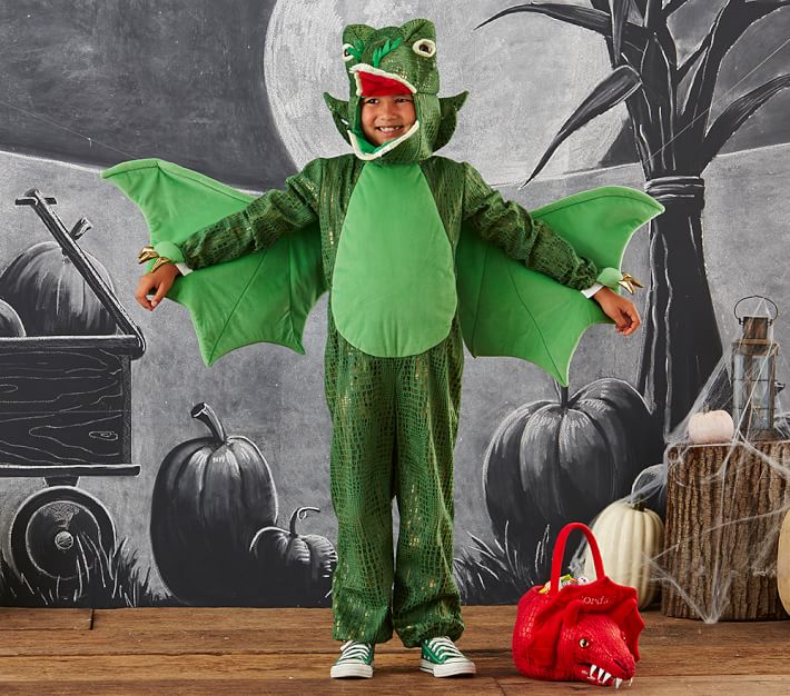 Toddler Dragon Costume - Green | Pottery Barn Kids