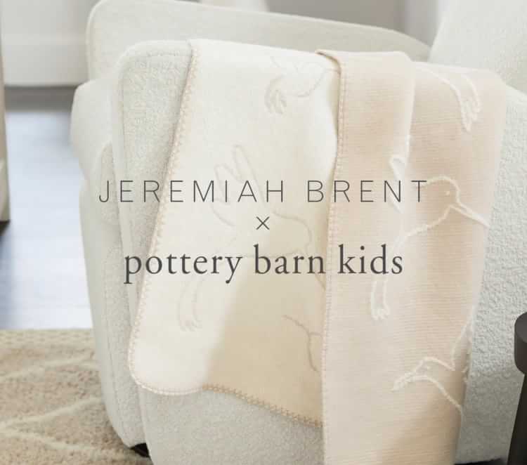 Jeremiah Brent X Pbk Hummingbird Baby Blanket Pottery Barn Kids